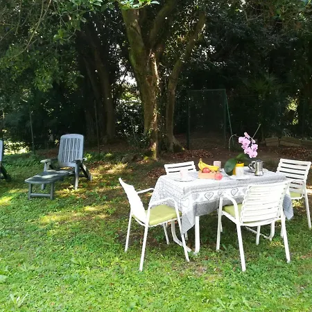 Apartment Casa Mirella Arona